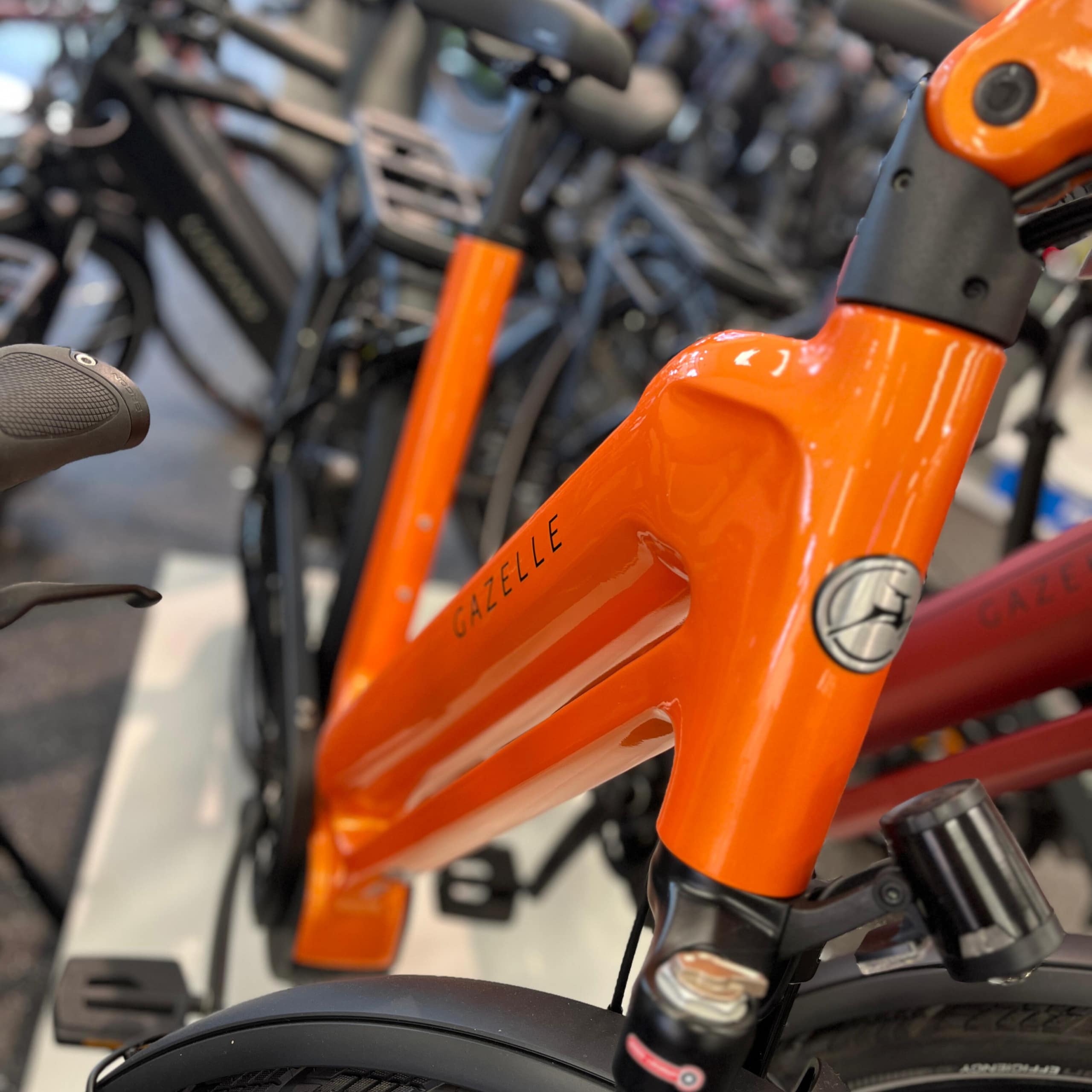 WhatsApp Image 2025-10-17 at 14.48.44 - Bewerkt